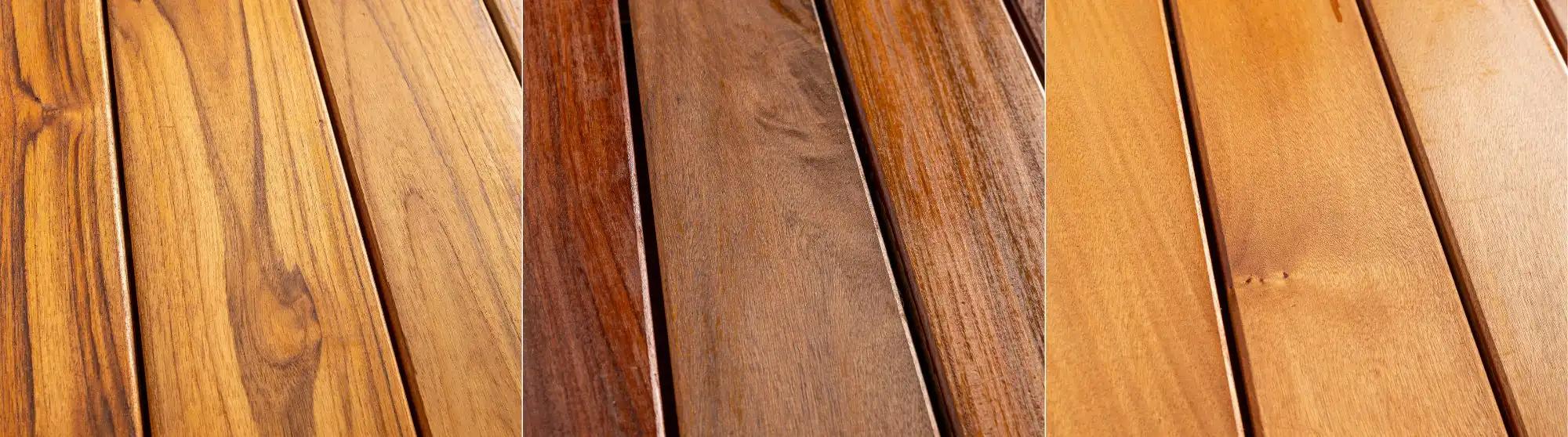 Specie legnose per decking e pavimenti esterni